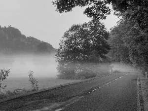 Way, woods, Fog, Mountains