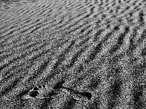 foot, Desert, Sand