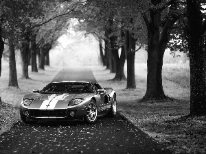 viewes, Ford Mustang GT, trees