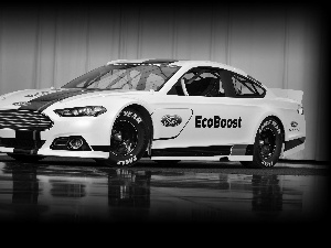 Ford Fusion, Nascar