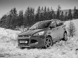 ford kuga, snow