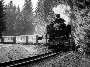 Wagons, forest, ##, locomotive, Train