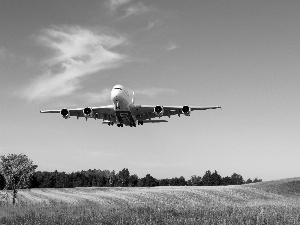 plane, Meadow, forest, Airbus A380