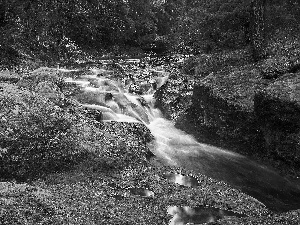 forest, autumn, rocks, mosses, River