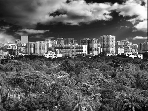 Bangladesh, Town, forest, Dhaka