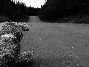 teddy bear, Way, forest
