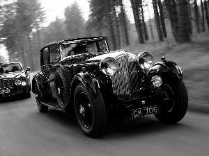 Two cars, cars, forest, Black