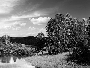 forest, clouds, blue, Sky, lake