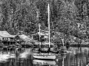 forest, HDR, Yacht, Houses, lake