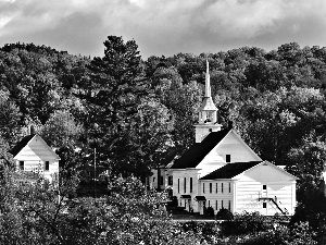 forest, Church, Houses