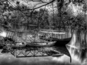 forest, boats, lake