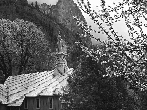 forest, chapel, Mountains