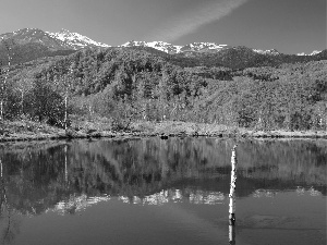 forest, lake, Mountains