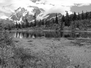 forest, River, Mountains