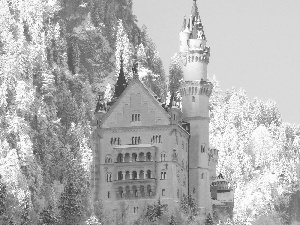 Neuschwanstein Castle, Germany, trees, viewes, woods, Bavaria