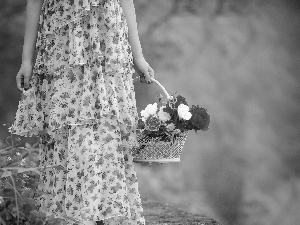 forest, Path, basket, Women, roses