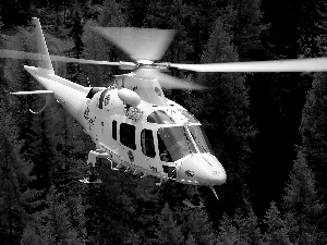 forest, Patrol, Westland, AW-109, Augusta