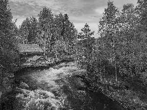 Oulanka National Park, trees, River, Lapland, Myllykoski Mill, forest, viewes, Finland, Kuusamo Municipality, autumn