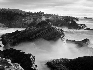 sea, Oregon, forest, rocks, Coast, dawn