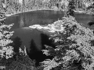 forest, lake, rocks