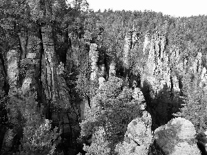 Park, Switzerland, forest, rocks, national, Saxon