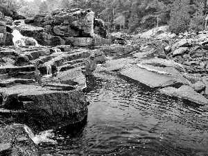 forest, River, rocks