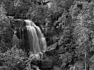 forest, waterfall, rocks