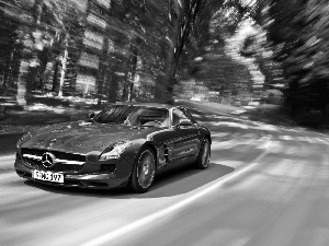 Mercedes SLS, Way, forest