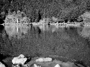 forest, lake, Stones