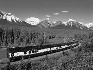 Train, Mountains, forest, Express