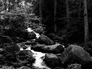 forest, VEGETATION, mountainous, rocks, stream
