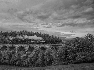 Sky, Train, trees, Clouds, bridge, forest, viewes