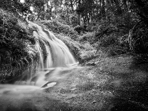 waterfall, forest