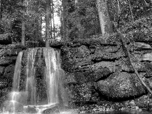 waterfall, forest