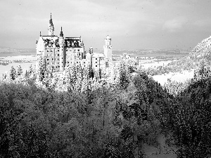 forest, Castle, winter