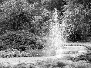 Garden, Pozna?, fountain, botanical