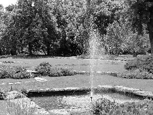 Garden, Poznań, fountain, botanical