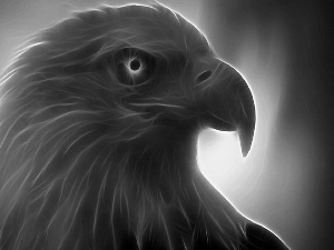 eagle, Fractalius