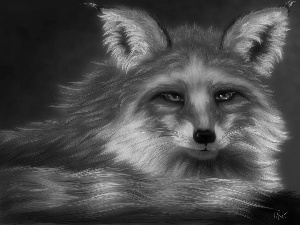 fox, Fractalius