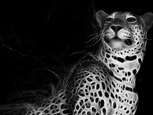 Leopards, Fractalius