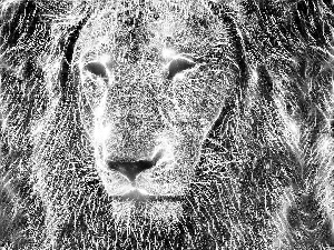 Lion, Fractalius