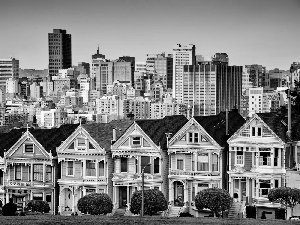 panorama, Houses, San Francisco, California, town, skyscrapers