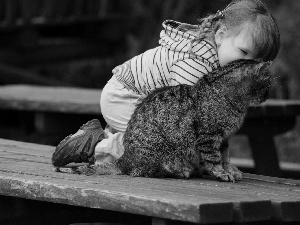 friendship, girl, cat