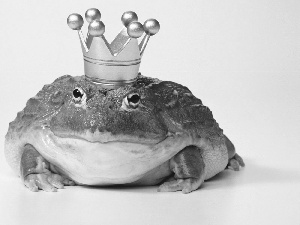 Crown, frog