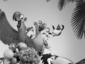 Fruits, Rio, Parrots