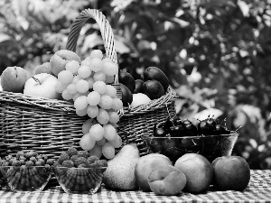 Garden, Fruits, basket