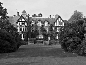 house, Garden