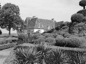 Garden, house, thatch