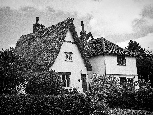 county, Houses, Gardens, Suffolk