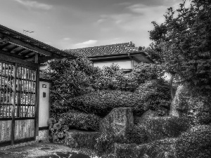 Gate, Garden, japanese